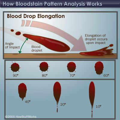 Is Dried Blood Dangerous? – Explore Forensics